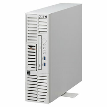 NEC T110k-S Xeon4C/16G/1TB*2/R1/W19 NP8100-2887YPXY