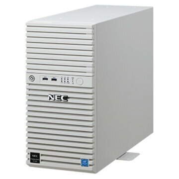 NEC T110k Xeon4C/8G/1TB*2/R1/W19 NP8100-2902YPTY