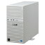 NEC T110k Xeon4C/8G/2TB*2/R1/W19 NP8100-2902YPUY