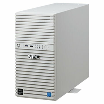 NEC T110k Xeon4C/8G*2/1TB*2/R1/W19 NP8100-2902YPWY