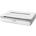 エプソン A3フラットベッドスキャナー/600dpi/A4片面4秒/1枚 DS-50000