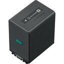 SONY リチャージャブルバッテリーパック NP-FV100A