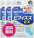 DHC 20 ͂rtBYXEX (20) 3 @\\Hi rtBYX EX BB536     Tvg Tv 