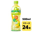 RJER[ ANGAX 1̃}`r^~ 500ml PET 24{ 1P[X  ybg{g coca y50479z