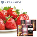 法事 お返し 香典返し 引き出物 品物 お菓子 3000円予算 博多あまおう苺チョコサンド・菓子詰合せ 四十九日 49日 忌明け 満中陰 満中陰志 粗供養 志 ...