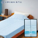 法事 お返し 香典返し 引き出物 品物 寝具 セット 10000円以上 高額 ひんやり冷感キルト肌掛けふとん2P 四十九日 49日 忌明け 満中陰 満中陰志 粗...