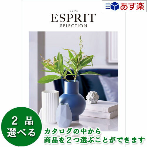 カタログギフト ｢ エスプリ ( ESPRIT )｣ エアリー 2品選べるダブルチョイス 25600円コース 人気 ギフト 御祝 結婚祝 出産祝 新築祝 結婚内祝 出産内祝 新築内祝 各種内祝 快気祝 法事引出物 香典返し 景品 記念品 歳祝