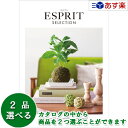 カタログギフト ｢ エスプリ ( ESPRIT )｣ フェミニン 2品選べるダブルチョイス 5600円コース 人気 ギフト 結婚祝 出産祝 新築祝 結婚内祝 出産内祝 新築内祝 各種内祝 快気祝 法事引出物 香典返し 粗品 景品 記念品 歳祝