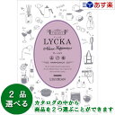 【当日発送 11時までの注文分】景品・記念品 御礼の品に カジュアルでポップなカタログ ハーモニック カタログギフト 「 リュッカ ( LYCKA ) 」 リグ...