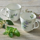 ノリタケ ( NORITAKE ) イングリッシュハーブズ ペアマグカップ 375ml ( ローズマリー ) ※ 電子レンジ使用可 [ブランドロゴ入りギフトBOX] 人気 ギフト 結婚祝 出産祝 結婚内祝 出産内祝 記念品