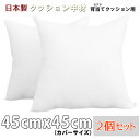 iFabric ヌードクッション 角型 45cm カバー用 背当てタイプ サテン生地使用 2個セット