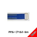 【3900円以上購入で送料無料】 PPループベルト 6.0m 角カン付ベルト 2本セット 簡単脱着 持ち手用ベルト DTW-60Y-2