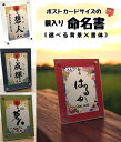 【メール便無料】命名ポストカード(額入り)【即日発送可能】