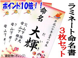 命名紙 【命名書】【メール便可⇒送料無料】ラミネート命名書3枚セット【手書き筆文字】【smtb-KD】【命名紙　命名用紙】【毛筆】【代筆】