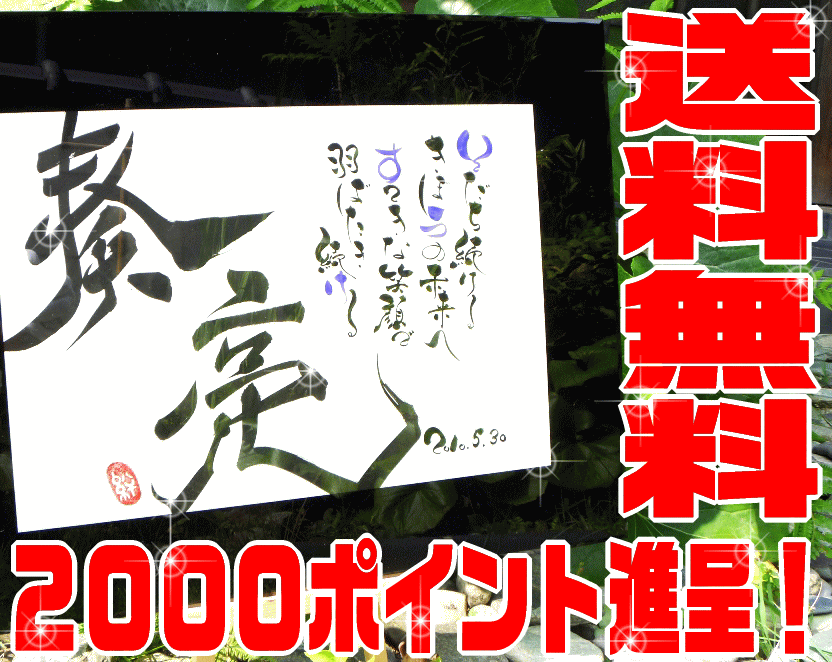 楽天筆耕屋さん楽天市場店【送料無料】ポエム命名書★プレミアム★【ポイント10倍!!2000ポイント進呈】筆耕屋さんオリジナル命名書です 命名額　命名用紙【毛筆】【代筆】【北海道・沖縄送料別途】