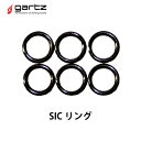 ガルツ　 SICリング ウキ釣り　タイラバ 加工 gartz SIC RING フィッシング　釣り具 ...