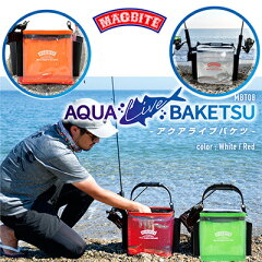 https://thumbnail.image.rakuten.co.jp/@0_mall/hikoboshi-fishing/cabinet/i/29/hf-mag-ha-k-00006.jpg