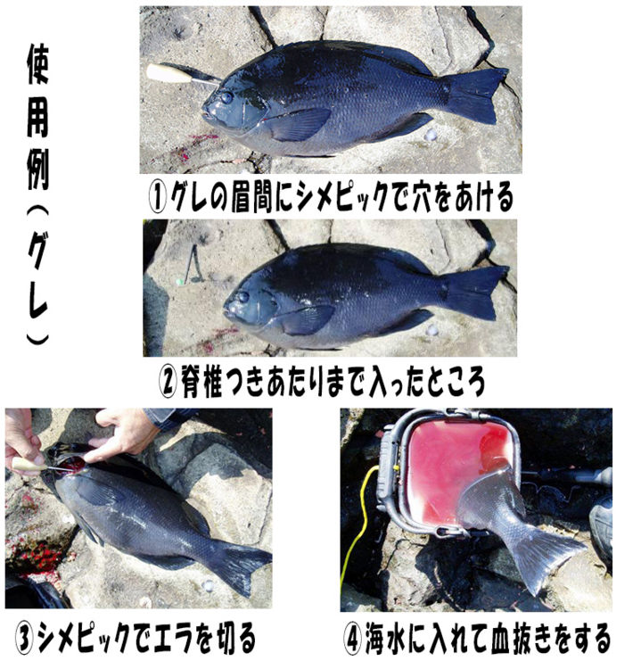 初心者でも簡単 アジの締め方 血抜き講座 大事な6つのステップを解説 暮らし の