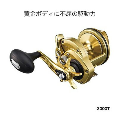 シマノ リール 15 海魂 カイコン 3000T 4969363033574 石鯛用両軸リール 右ハンドル SHIMANO 15 KAIKON 3000T 釣り 釣具 釣り具 フィッシング 石鯛 両軸 リール イシダイ 磯釣り 大物用