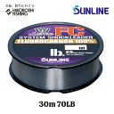 サンライン ソルティメイト システムショックリーダーFC 30m巻 20号 70lb クリア SUNLINE 釣り 釣具 釣り道具 フィッシング ライン 釣り糸...