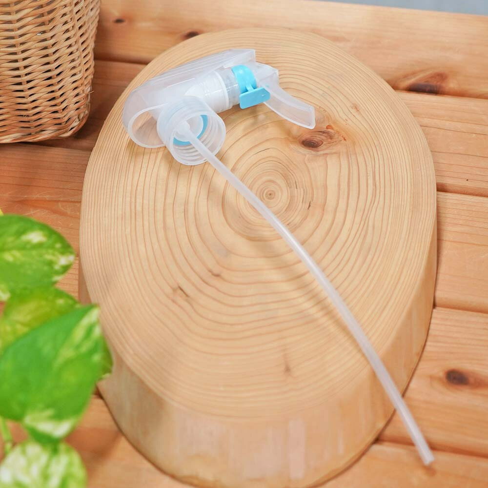 ҥݥ勵ŷԾŹ㤨֡ؤߤ餤  ץ졼ܥȥ ץ졼Υñ (դդƤޤפβǤʤ190ߤˤʤޤ