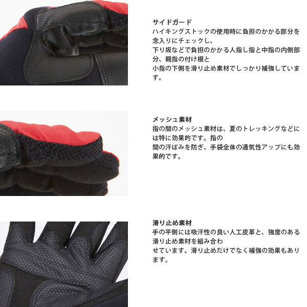 サンプル画像3