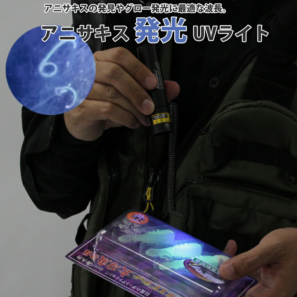 アニサキス発見 LED UV ライト ブラックライト 紫外線ライト 365nm波長 Alonefire SV95 3W アニサキス UVライト グロー発光 KAN001583