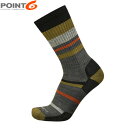 POINT6 ポイント6 メンズ レディース 靴下 ソックス メリノウール Hiking Mixed Stripe Light Crew Coyote Brown 中厚手 ライトクッション クルー丈 P62566CYTBRW(4)