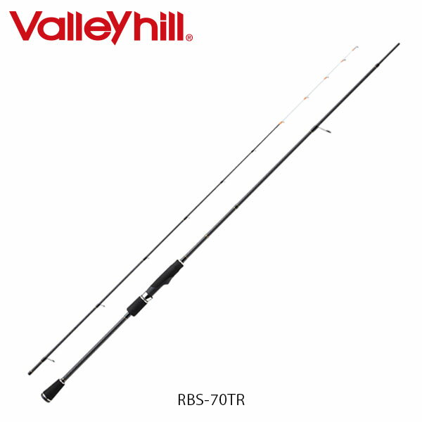 ϥࡡŷԾŹ㤨֥Х졼ҥ å ƥåץǥ ȥ١å ƥåץ RBS-70TR ԥ˥󥰥ǥ  եå Valleyhill VAL209784פβǤʤ19,800ߤˤʤޤ