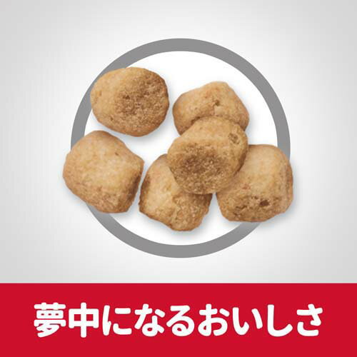 サイエンス・ダイエット ライト 肥満傾向の成猫用 1~6歳 チキン(1.8kg)【サイエンスダイエット】 サイエンス・ダイエット ライト 肥満傾向の成猫用 1~6歳 チキン(1.8kg)【サイエンスダイエット】