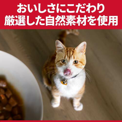 キャットフード 敏感なお腹と皮膚の健康サポート 猫 1歳以上 チキン ドライ(2.5kg*2袋セット)【hills_cou_2101】【サイエンスダイエット】