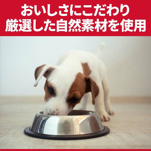 サイエンスダイエット 小型犬用 1歳以上 チキン 1.3kg 腸の健康サポートプラス(1.3kg*6袋セット)【hillsactiv-dog】【ヒルズ サイエンスダイエット】[シニア 超小粒 小粒] hills-pet-10000504 ヒルズ ペットフード公式ショップ サンプル画像3