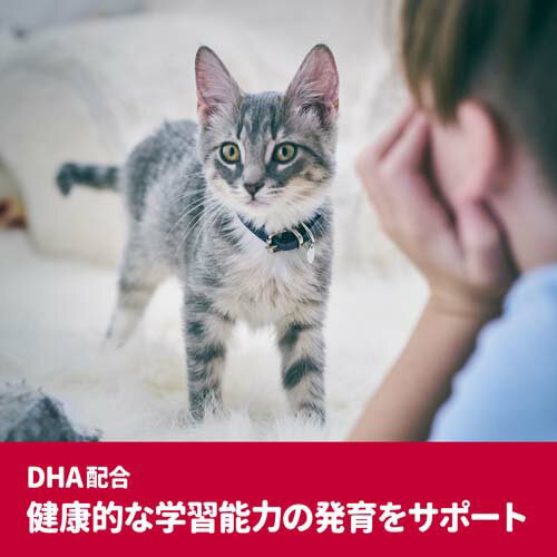 サイエンスダイエット プロ 猫用 健康ガード 発育 〜12ヶ月／妊娠・授乳期(3kg*4袋セット)【hills_cou_2101】【サイエンスダイエット】[キャットフード]