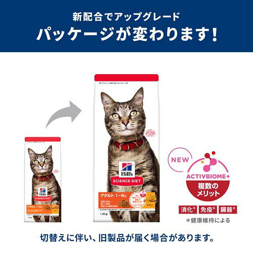 サンプル画像2