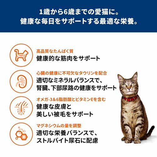 サンプル画像3