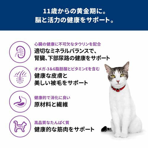 サンプル画像3