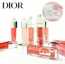 【国内正規品】DIOR ディオール アデ