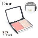 【国内正規品】DIOR ディオール ディオールスキン ルージュ ブラッシュ カラー&グロウ (#257 ディオリビエラ) 8g チーク ハイライト フェイス パ...