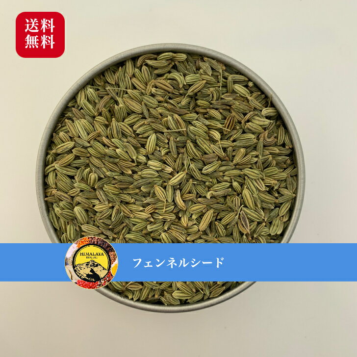 フェンネルシード 100g Fennel seed スパイス 香辛料 口直しフェンネルティー ダイエットティー 万能調味料 調味料 カレー カレー粉 カレースパイス 香辛料 ドライ ハーブ インド料理 トッピング 量り売り ポイント消化 バーベキュー BBQ