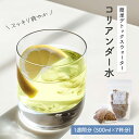 コリアンダー 水 1週間分 (500ml×7杯分） 送料無料 スパイシー 簡単 お取り寄せ グルメ 食品 インド料理 本格 コリアンダー 水 健康 ドリンク ティーパック 紅茶 アイスティー ボトル用 水出し スパイス 大容量 ポイント消化 バーベキュー BBQ