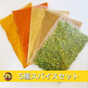 【送料無料】スパイスセット　5種　クミン　ターメリック　チリ　コリアンダー　カスリメティ　100g　カレー　スパイスカレー　おうちカレー　手作りカレー　スパイス　香辛料　SPICE　MIX SPICE　ミックスパイス　お試し　お試しセット