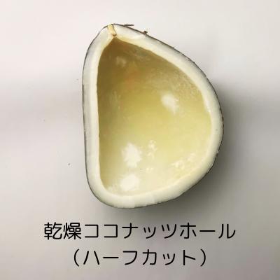 ココナッツホール 500g Coconuts whole ハーフ カット 乾燥 ココナッツ ヤシの実 椰子の実 やしの実 無添加 無加工 世界のカレー 天然 皮付き お菓子 自然 製菓食品 健康食品 カレー カレー粉 カレースパイス インド ポイント消化 ナッツ おやつ インド料理 西アジア