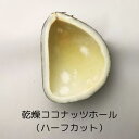 ココナッツホール 500g Coconuts whole ハ