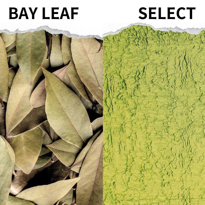 ベイリーフ 100g ～選べる【 送料無料 】インド産 bayleaf powder whole ベイリーフ スパイス 香辛料 万能調味料 調味料 業務用 ハーブ カレー カレー粉 カレースパイス ヴィーガン ビーガン スパイスハーブ チャイ ポイント消化 バーベキュー BBQ