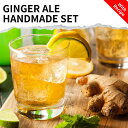 ジンジャーシロップ セット スパイシー 簡単 レシピ付き セット お取り寄せグルメ お取り寄せ グルメ 食品 インド料理 ショウガ 生姜 ジンジャー クラフトコーラ
