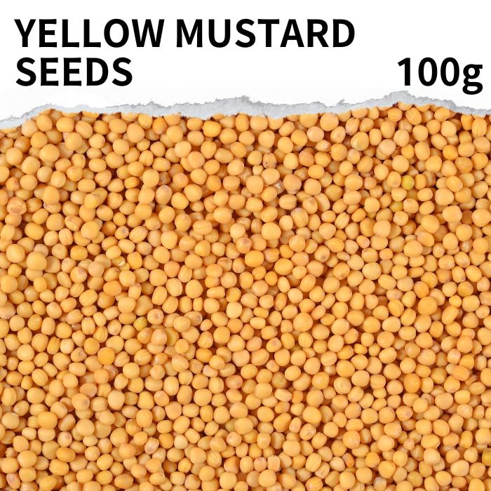 イエローマスタードシード 選べる 100g ～ yellow mustard seed インド産 送料無料 マスタード シードカレー カレー粉 香辛料 ハーブ ドライハーブ 調味料 業務用 イングリッシュ マスタード ボルドーマスタード ディジョンマスタード モーマスタード ポイント消化