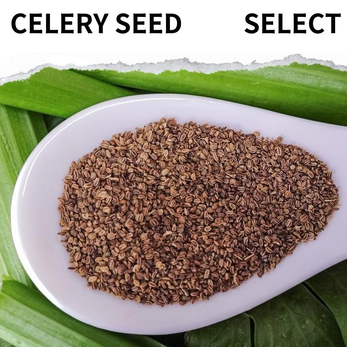 セロリシード 100g ～選べる celery seed