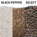 ブラック ペッパー 選べる 100g ? black pepper whole coarsely powder ブラックペッパー ペッパー 黒胡椒 胡椒 コショウ こしょう 調味料 カレー カレー粉 カレースパイス 香辛料 ドライハーブ インド料理 トッピング