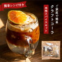 クラフトコーラ 【 送料無料 】 スパイシー 簡単 レシピ付き セット お取り寄せグルメ お取り寄せ グルメ 食品 インド料理 本格 クラフト コーラ ドリンク おやつ スパイス 大容量 ポイント消化 バーベキュー BBQ