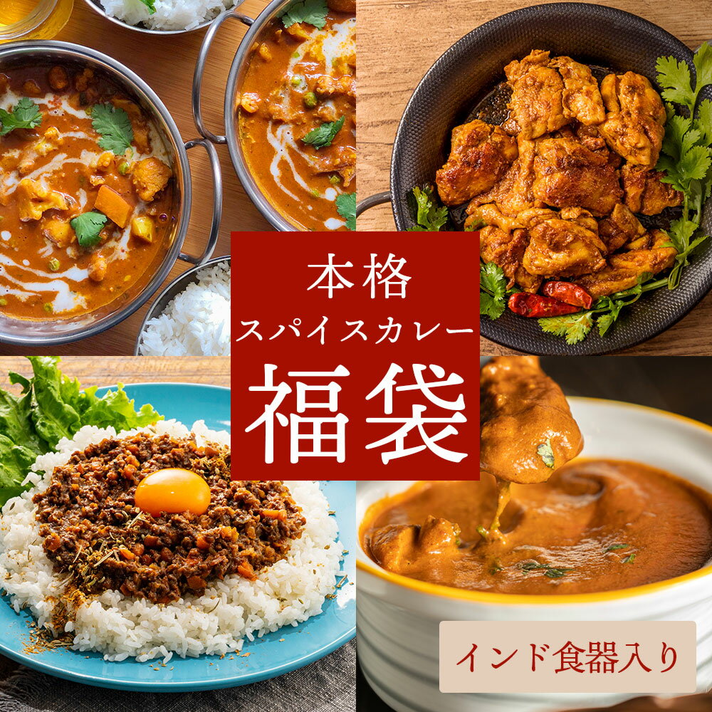 送料無料 スパイス 5種 福袋 スパイスセット 4種 + インド食器 2皿 スパイスセット カレー 粉 カレーセット バターチキンカレー ポークビンダル― キーマカレー タンドリーチキン インド食器 スパイス ポイント消化